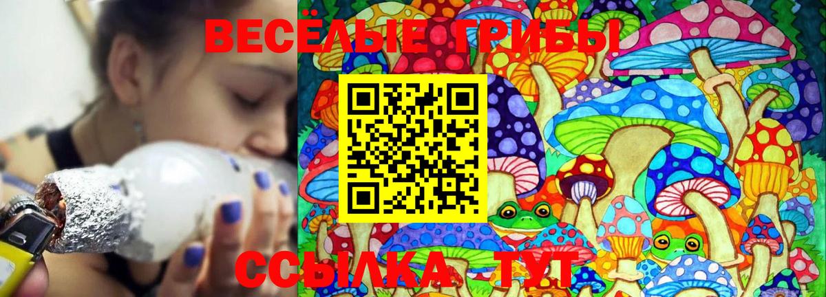 Галлюциногенные грибы мухоморы Вязники