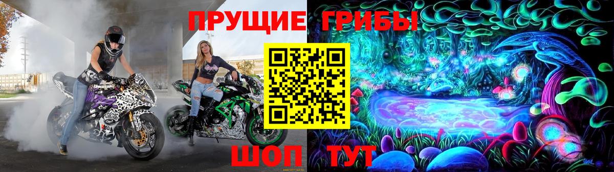 Вязники  Галлюциногенные грибы GOLDEN TEACHER  Вход с VPN  Псилоцибиновые грибы Cubensis 